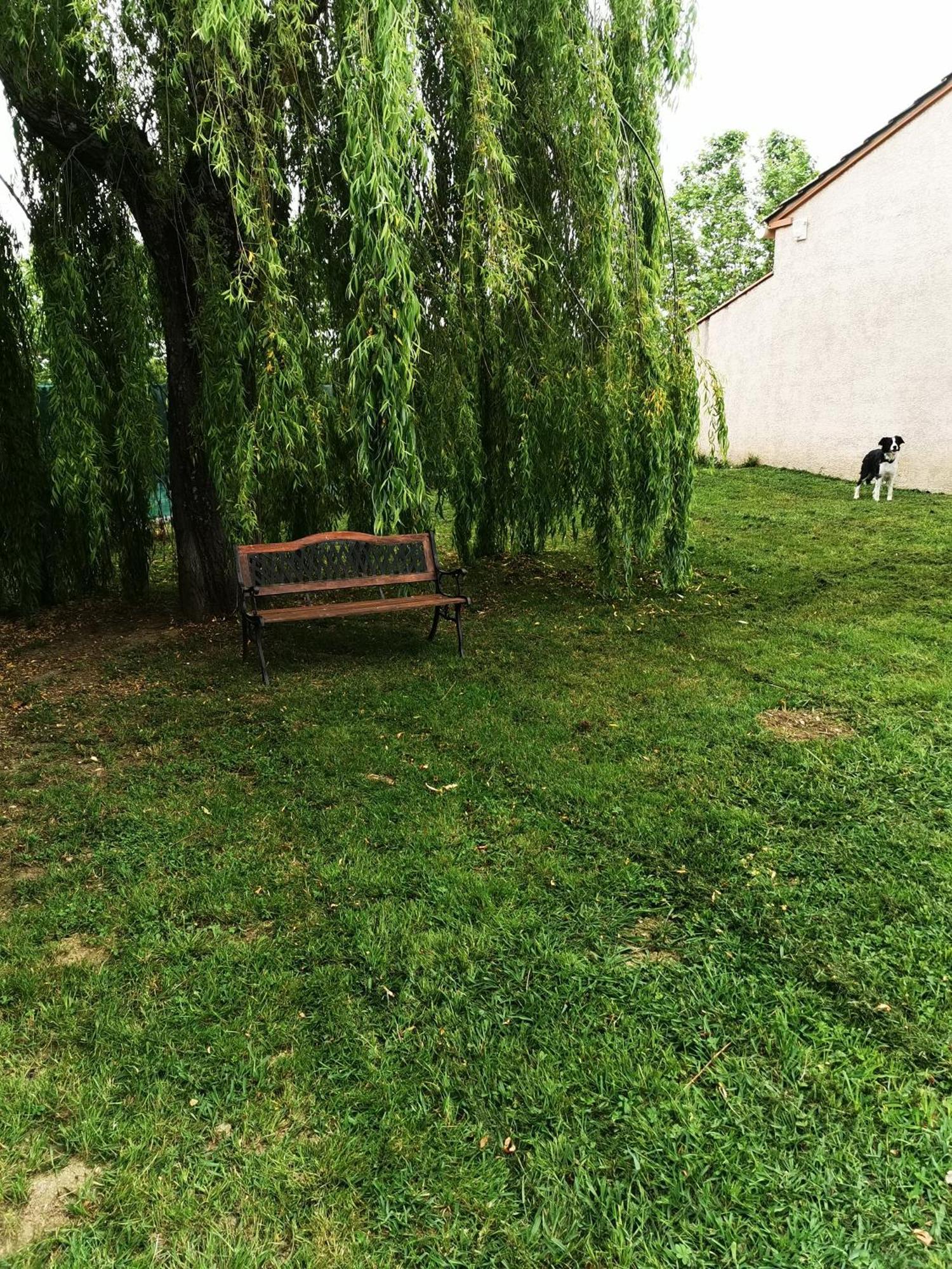 Jeanguy Andrieu Appartement
